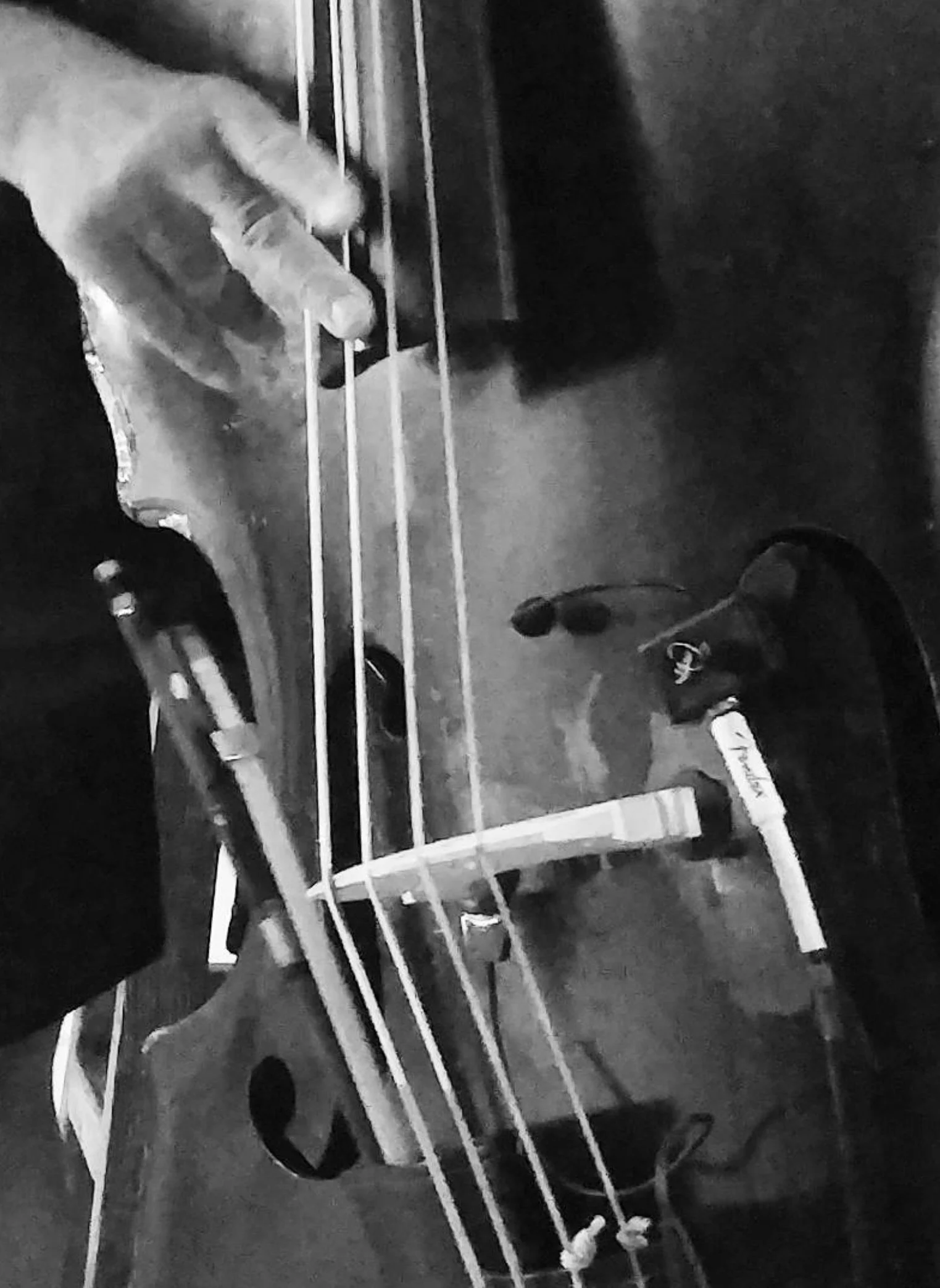 Myers Pickups —Upright Bass Pickups